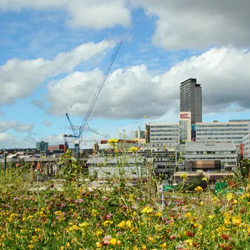 Counteract the decline in residential housing and green spaces in town centres, preserving the liveability and attractiveness of the area